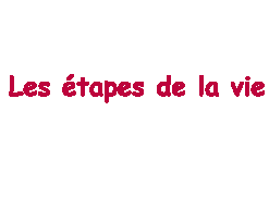 les étapes de la vie